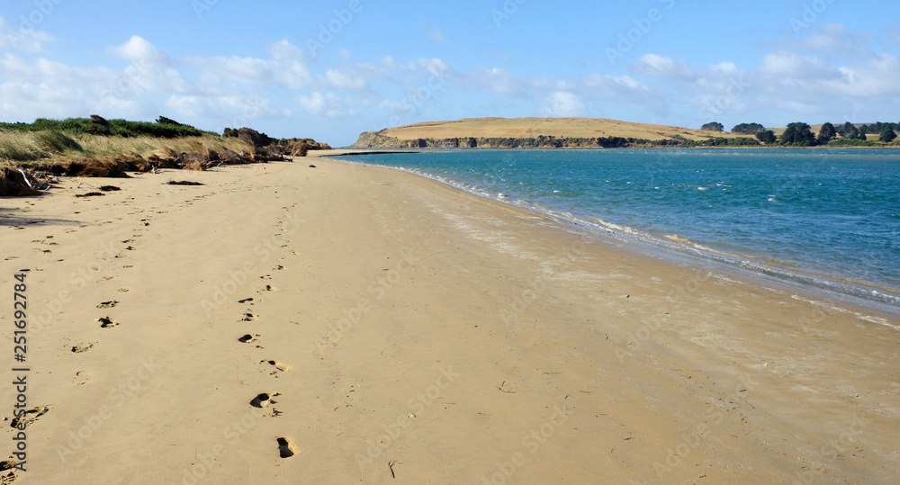 Surat Bay Beach, Catlins, New Zealand