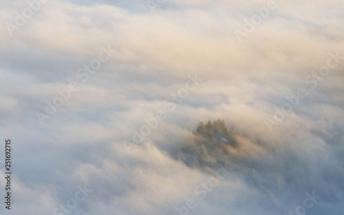 Clouds over trees at sunrise, Switzerland © Marcin