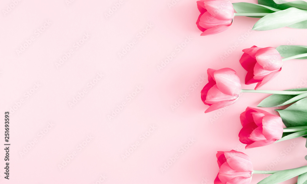 Flowers composition romantic. Flowers pink tulips on pastel pink background. Wedding. Birthday. Happy woman's day. Mothers Day. Valentine's Day. Flat lay, top view, copy space