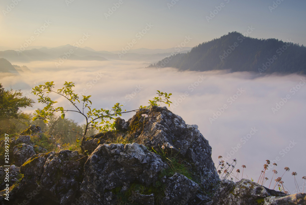 Obraz premium Sunrise in mountains, foggy autumn, Pieniny, Poland