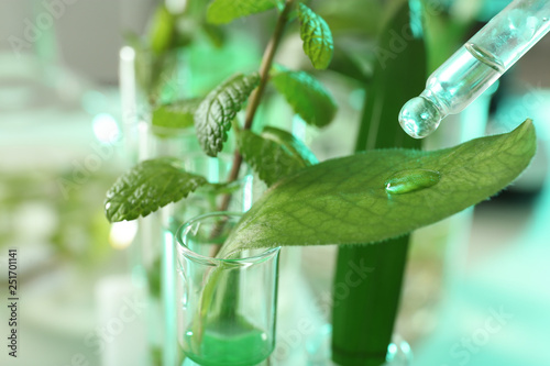 Clear liquid dropping from pipette on leaf against blurred background, closeup. Plant chemistry