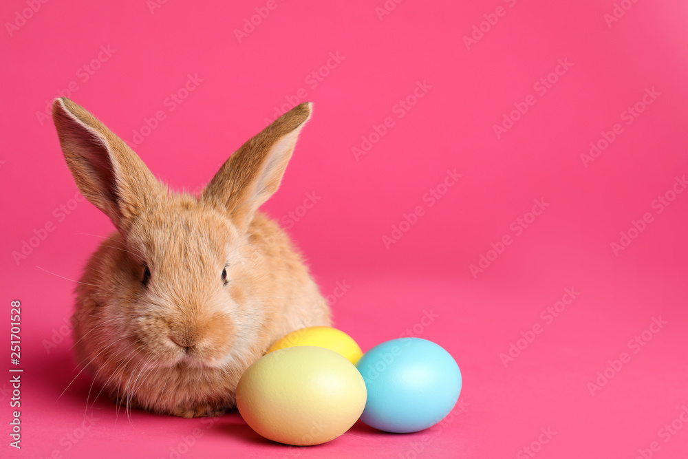 Adorable furry Easter bunny and dyed eggs on color background, space for text Adorable furry Easter bunny and dyed eggs on color background, space for text