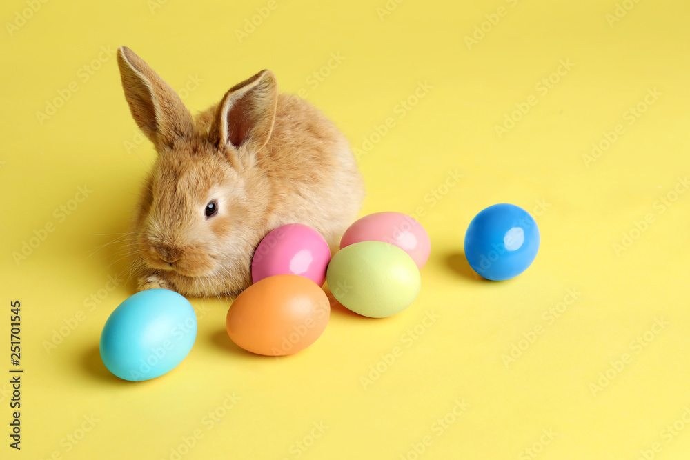 Adorable furry Easter bunny and dyed eggs on color background, space for text