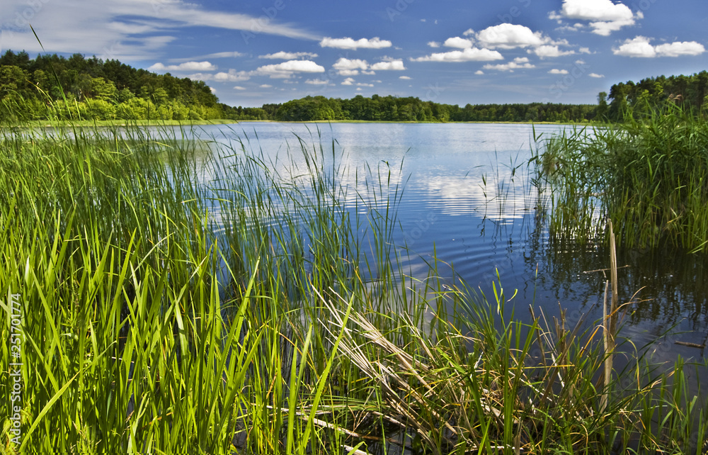 Obraz premium Spring lake, landscape