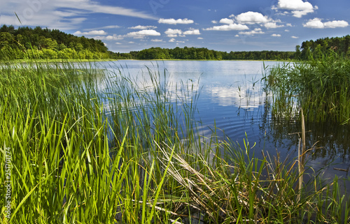 Fototapeta Naklejka Na Ścianę i Meble -  Spring lake, landscape