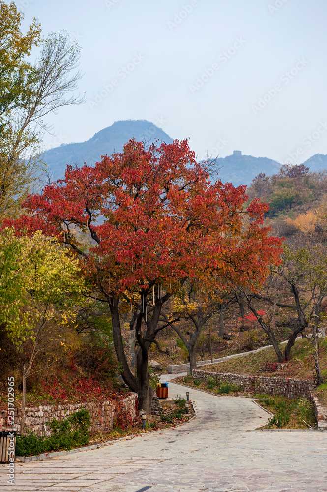 Qingshan pass the Great Wall and Castle Peak autumn scenery
