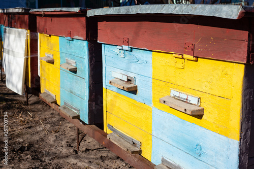 home beehive for bees and honey, yellow and blue © Fukume