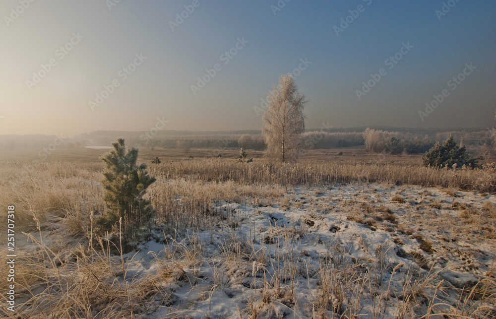 custom made wallpaper toronto digitalWinter, frosty landscape 