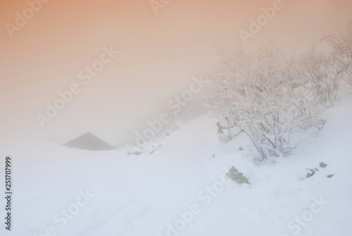 Snowy landscape © Marcin