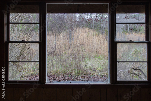 Looking through busted out windows of an abandoned house onto the vegetation outside