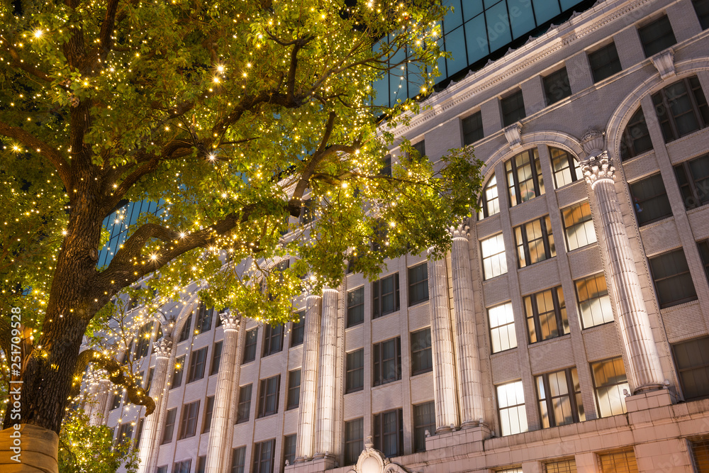 Fototapeta premium なんばのイルミネーション