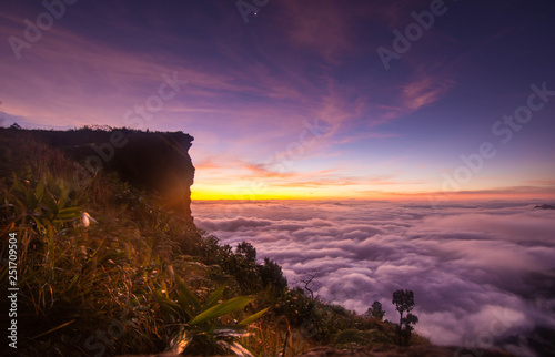 Phu Chifa cliff, landscape sunrise