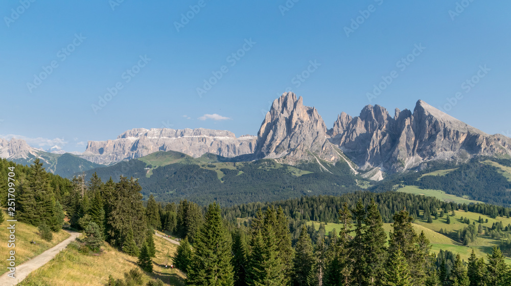 Panorama verso Sassolungo e Gruppo Sella dai sentieri estivi dell'Alpe di Siusi
