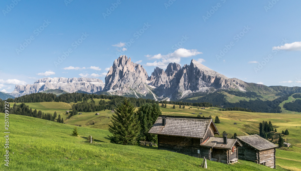 Panorama con baite in legno all'Alpe di Siusi in estate (Sudtirolo italiano). Panorama estivo delle Dolomiti di seiseralm