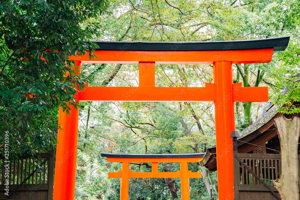 Torii gate and forest at Kawai shrine in Kyoto, Japan Torii gate and forest at Kawai shrine in Kyoto, Japan