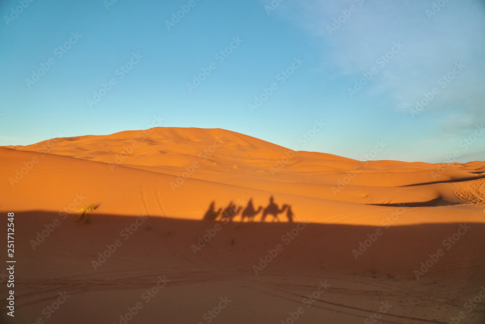 Shadow of a camel caravan transporting people on a sand dune in the dessert at the sunset in Morocco Africa