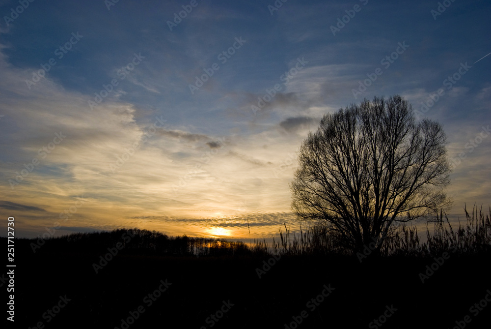Beautiful sunset Beautiful sunset