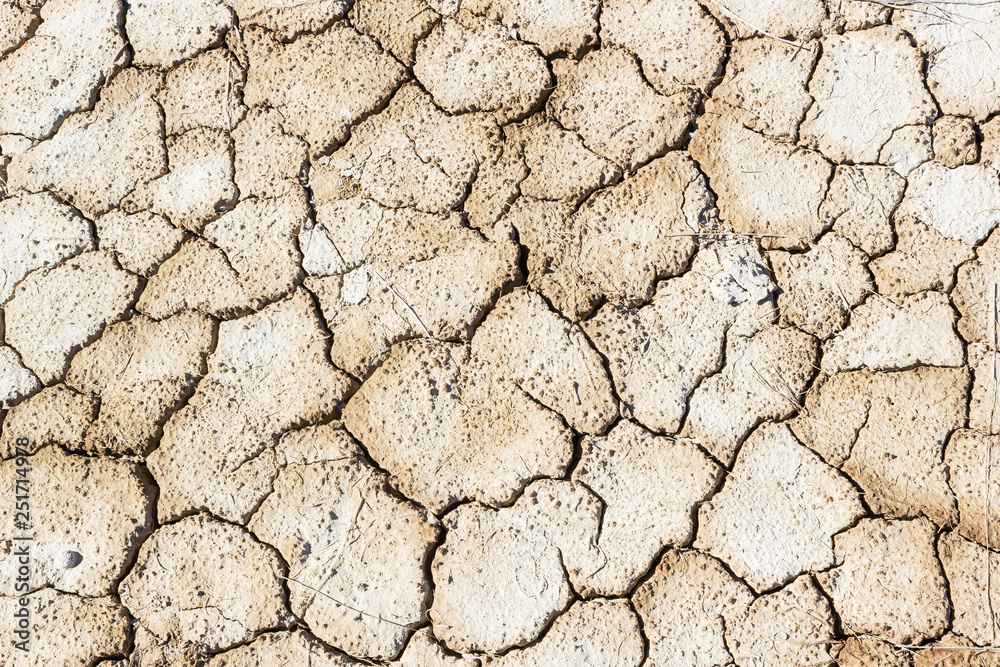 Dry cracked soil in empty. Lack of water, need for land reclamation. Global warming, climate change. Dry cracked soil in empty. Lack of water, need for land reclamation. Global warming, climate change.