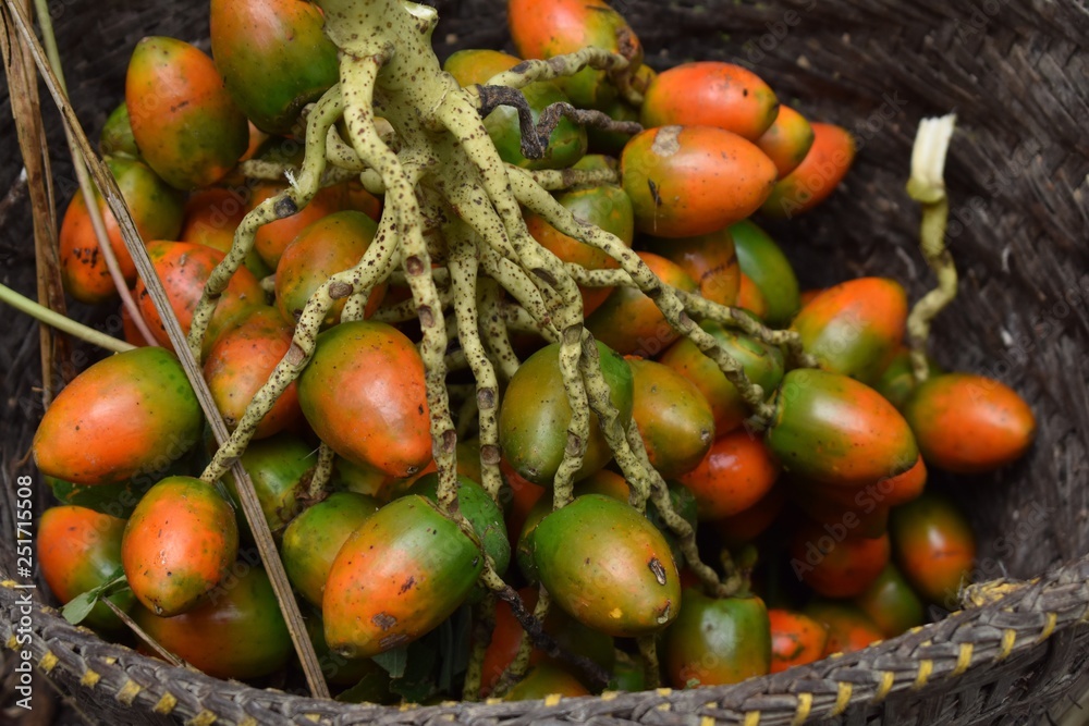 Basket of palm nuts