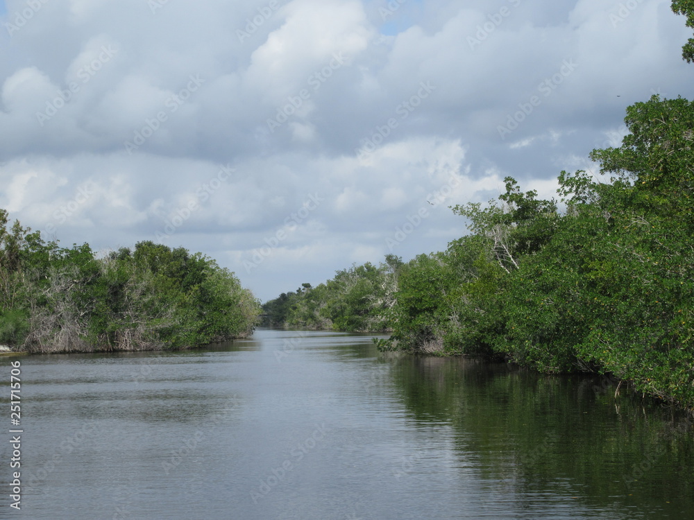 Lake in the Everglades national park