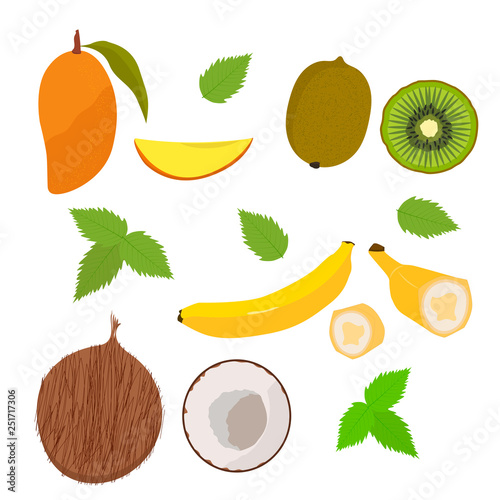 Fruits. Mango.Kokos.Banan.Kivi Garden. Vector
