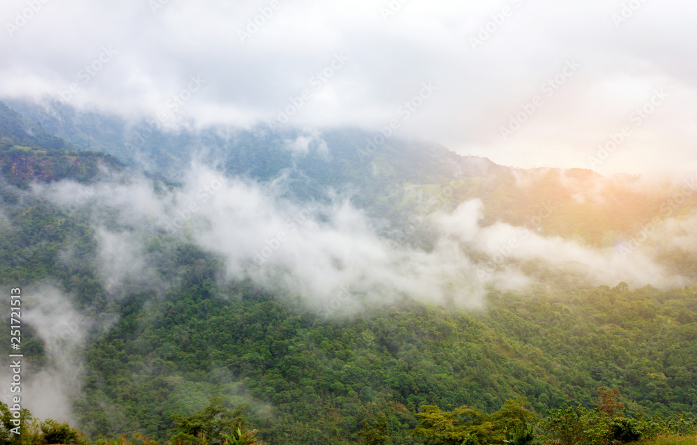 Landscape of foggy over the mountain.