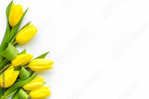 Spring composition. Delicate yellow tulips on white background top view space for text border #251724514