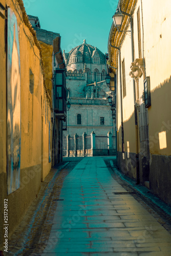 View of the cathedral from the Rua de los Notarios © villorejo