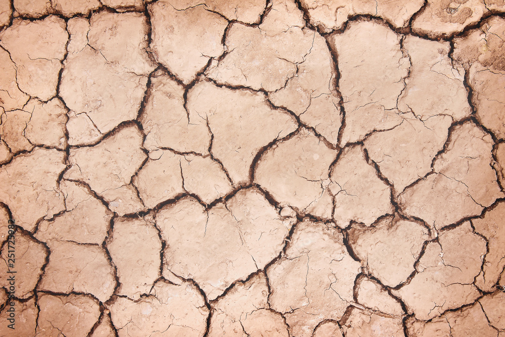 Nature cracked seamless patterns of soil ground texture top view for brown background Nature cracked seamless patterns of soil ground texture top view for brown background