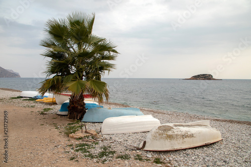 Boat on the beach