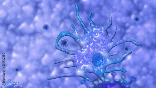 3D animation of a dendritic cell eating a virus. Macrophage cell in action. Phagocytosis animation showing the ingestion of a virus by phagocyte. Phagocytosis of a virus by an immune cell photo
