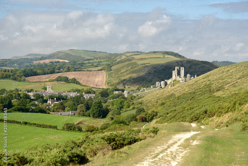 Fototapeta premium Path over Ballard Down above Corfe in Dorset