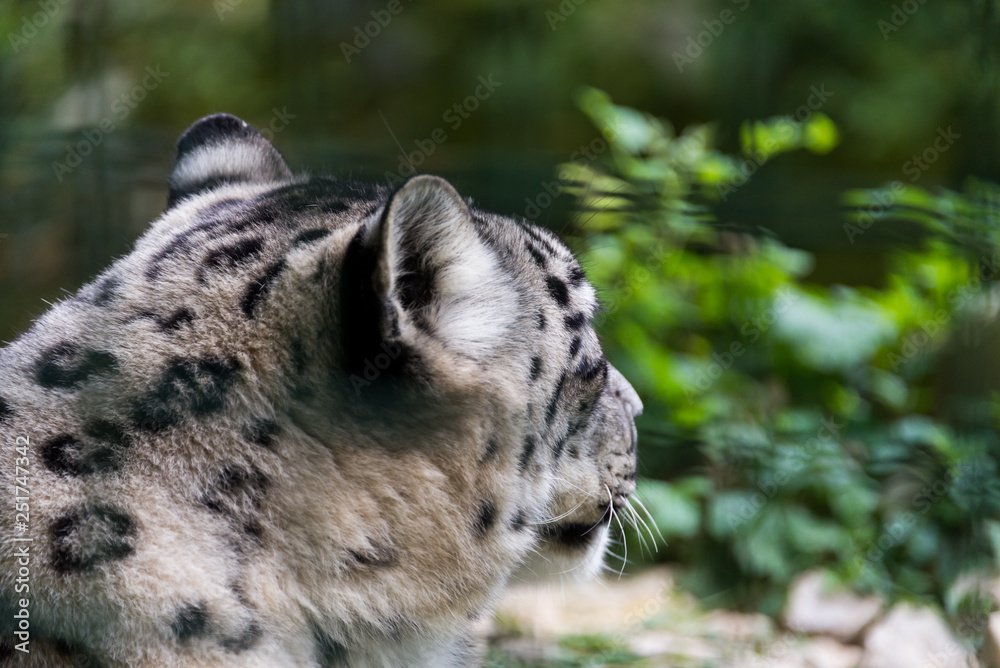Zoo Veszprém in Hungary and Budapest Zoo Veszprém in Hungary and Budapest