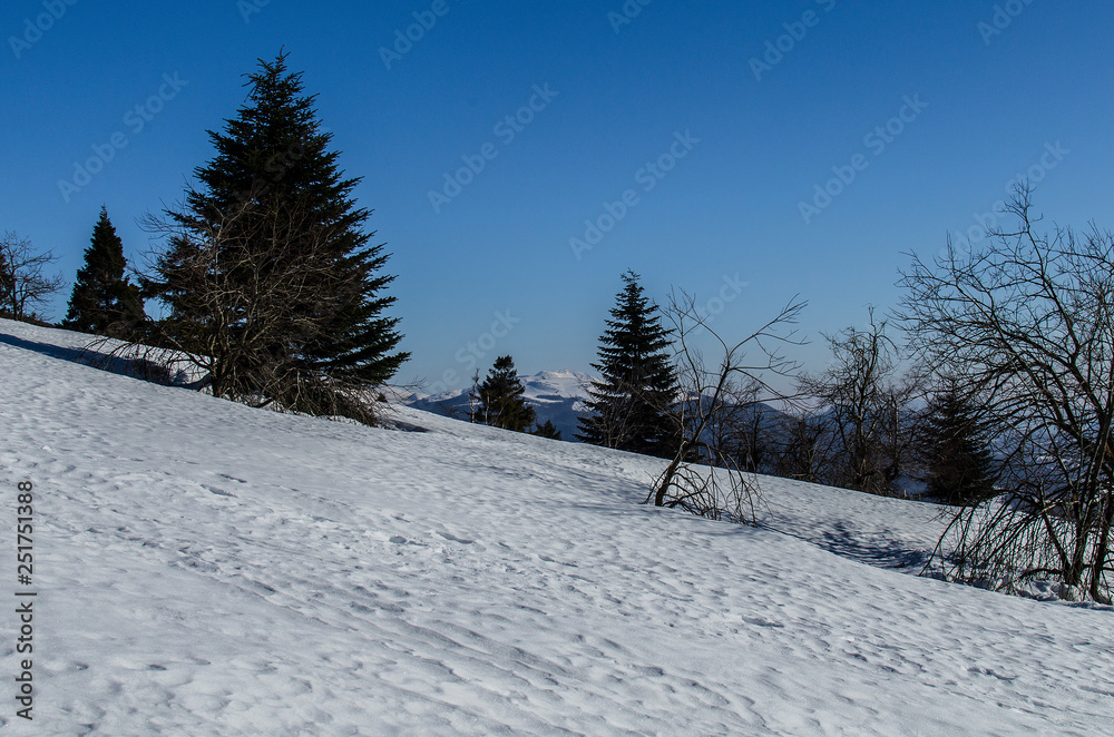 Bieszczady panorama zimą