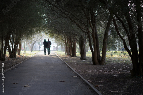 couple in love walks along the alley in the park © Alienka