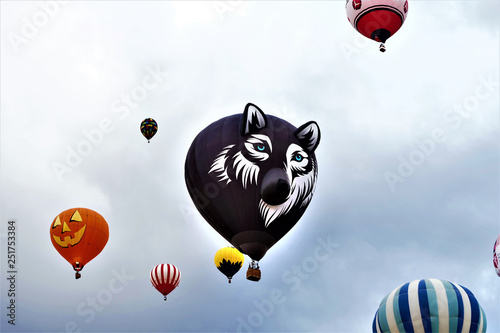 Wolf Balloon