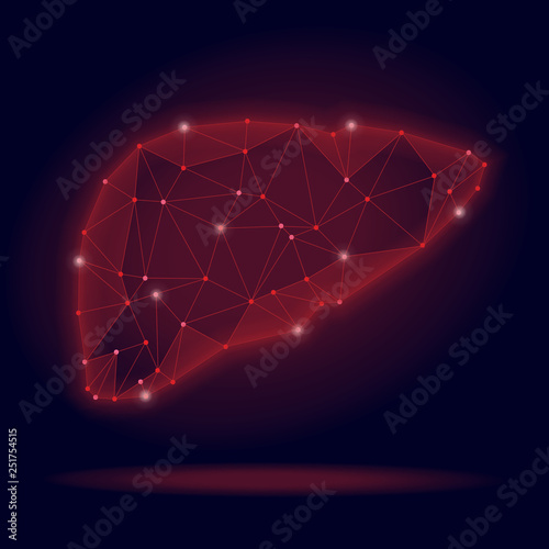 Abstract vector illustration of poligonal human liver on black background.