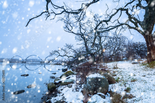 Baltic sea coast near Solvesborg in winter, Sweden photo