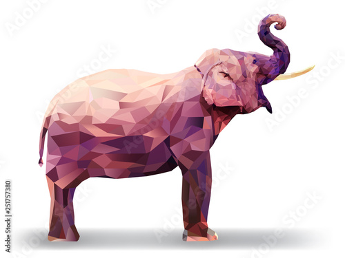 Elephant Low poly multicolored,Geometric pattern design, eps10 vector