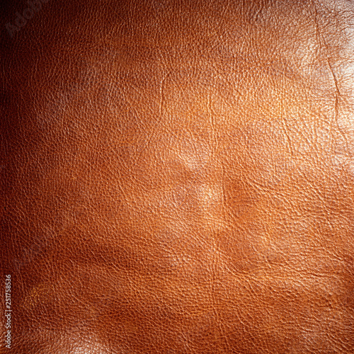 shiny dark brown animal leather texture material background