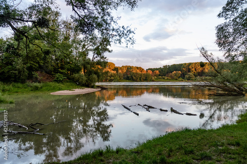 riverside forest at the danube river near orth photo