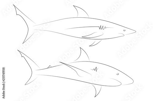 Black line sharks on white background.