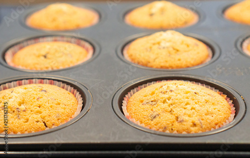 Freshly baked muffins in the baking tray