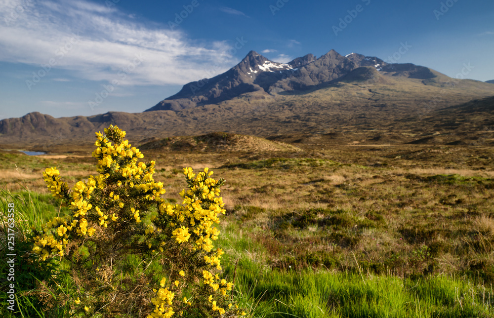 Cuillin mountains at Isle of Skye, Scotland