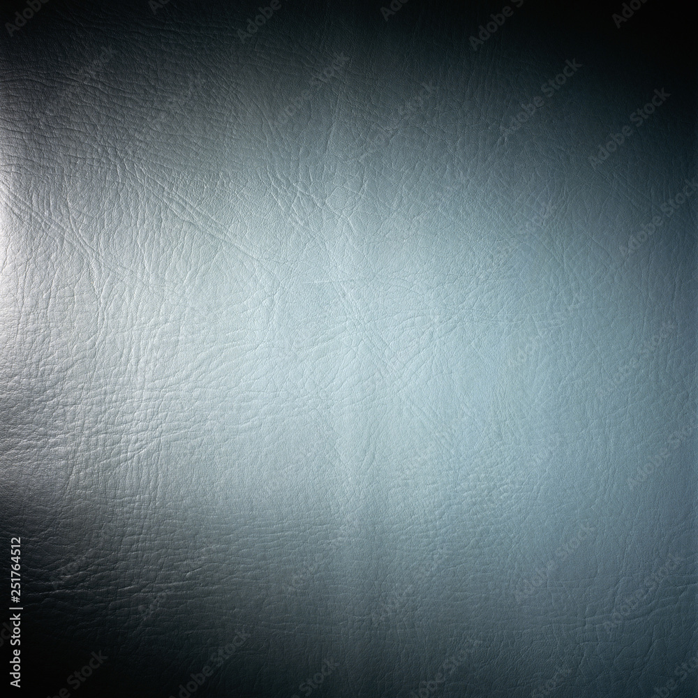 Obraz premium grey and white animal leather texture material background