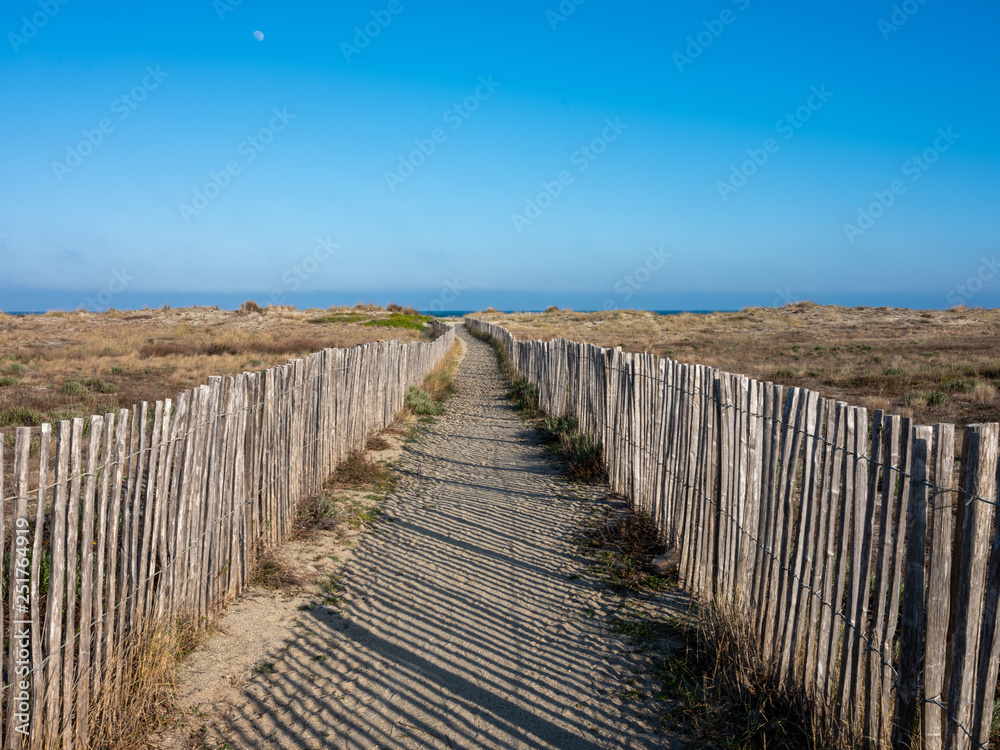 Fototapeta premium Sandy beach path with wooden railings. Pathway to beach and ocean sea. Minimal artistic nature landscape photography.