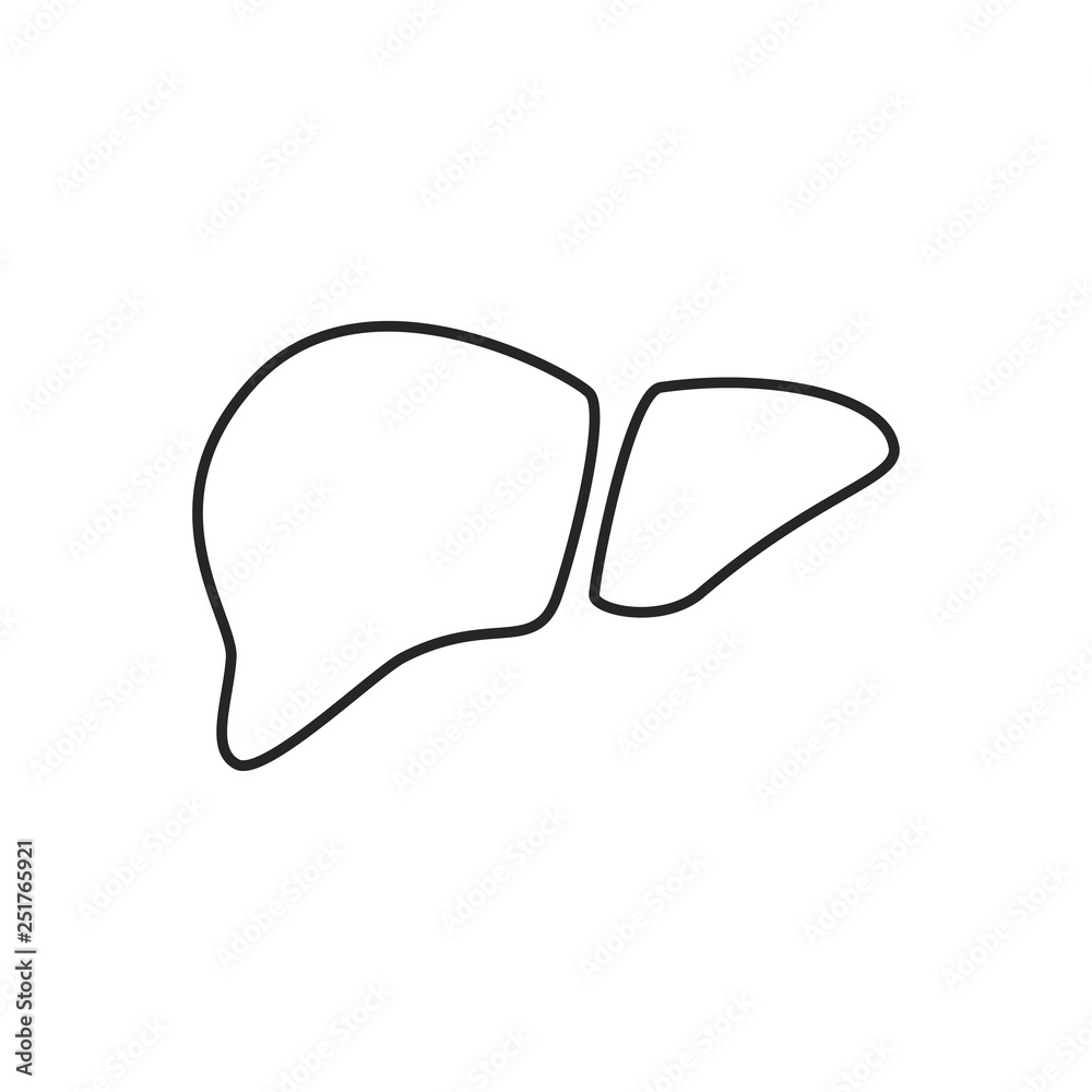 Liver vector icon isolated on white backgroun. Isolated human liver image. Vector illustration. Liver vector icon isolated on white backgroun. Isolated human liver image. Vector illustration.