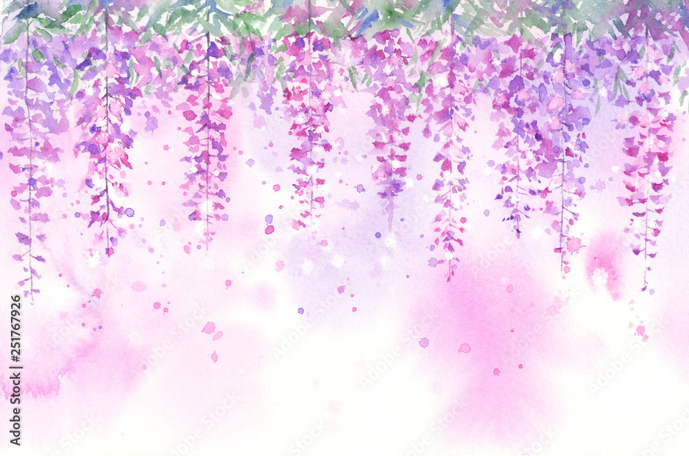 藤の花　水彩画