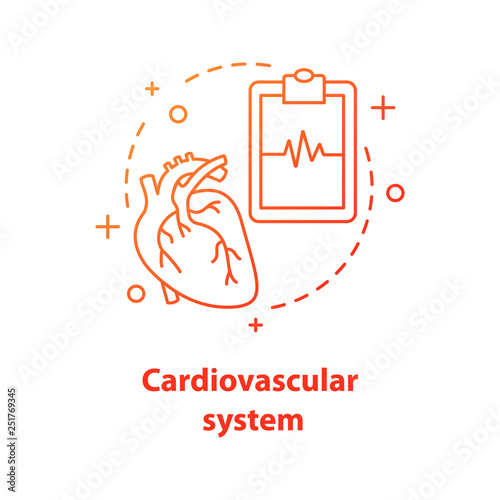 Cardiovascular system concept icon