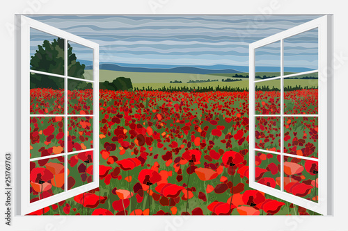 Bright poppy field with bushes vector illustration